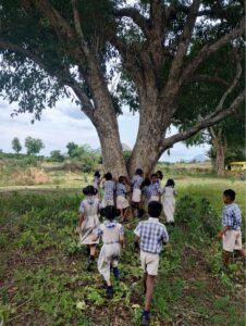 Understanding climate change through trees
