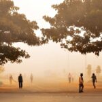 How air pollution is turning our cities into respiratory danger zones