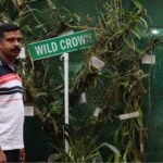 How a Kerala man is quietly rewilding rare orchids in Western Ghats