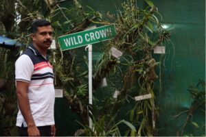 How a Kerala man is quietly rewilding rare orchids in Western Ghats