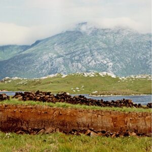 More than just muck: Peatlands in the spotlight